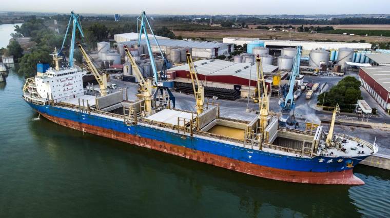 La estibadora sevillana ha descargado un bulk carrier cargado con más de 15.000 toneladas de maíz