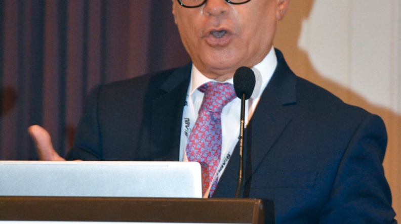 Las grandes navieras se reivindican ante las acusaciones de falta de transparencia Las grandes navieras se reivindican ante las acusaciones de falta de transparencia