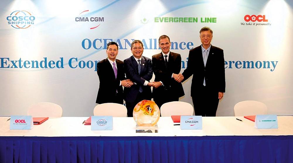 Ocean Alliance: una duda resuelta y cuatro a las que dar respuesta