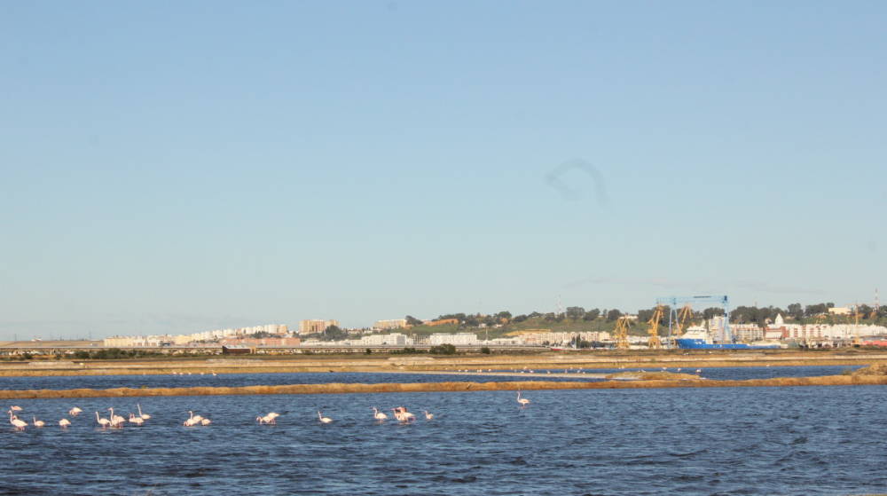 El Puerto de Huelva debatir&aacute; sobre el crecimiento sostenible