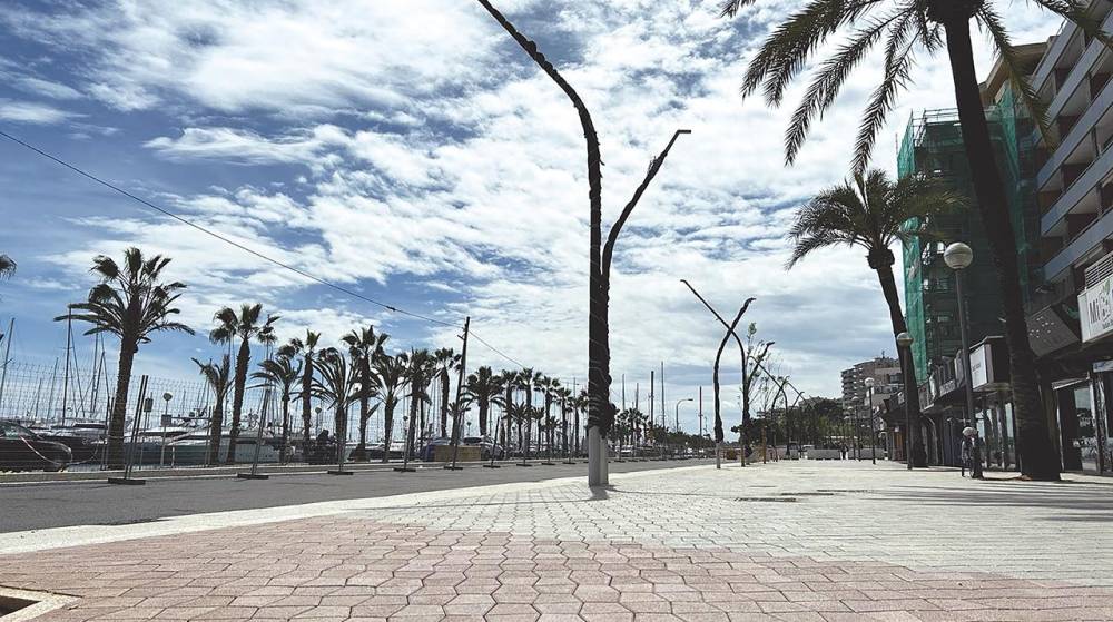 La AP Baleares pone en servicio parte de las obras del paseo Marítimo de Palma antes de Semana Santa