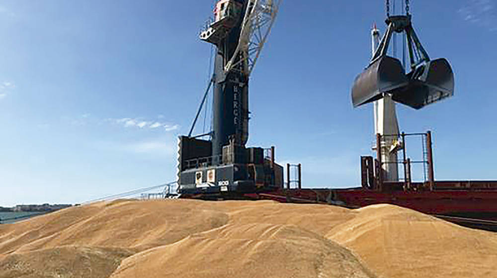 Berg&eacute; carga 27.500 toneladas de trigo duro en el Puerto de C&aacute;diz con destino a T&uacute;nez