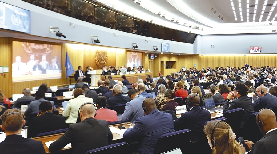 Las medidas fueron aprobadas por el Comité de Protección del Medio Marino durante su 83ª sesión.
