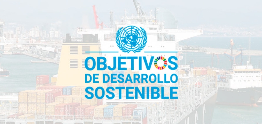 Alineaci&oacute;n con los Objetivos de Desarrollo Sostenible (ODS)