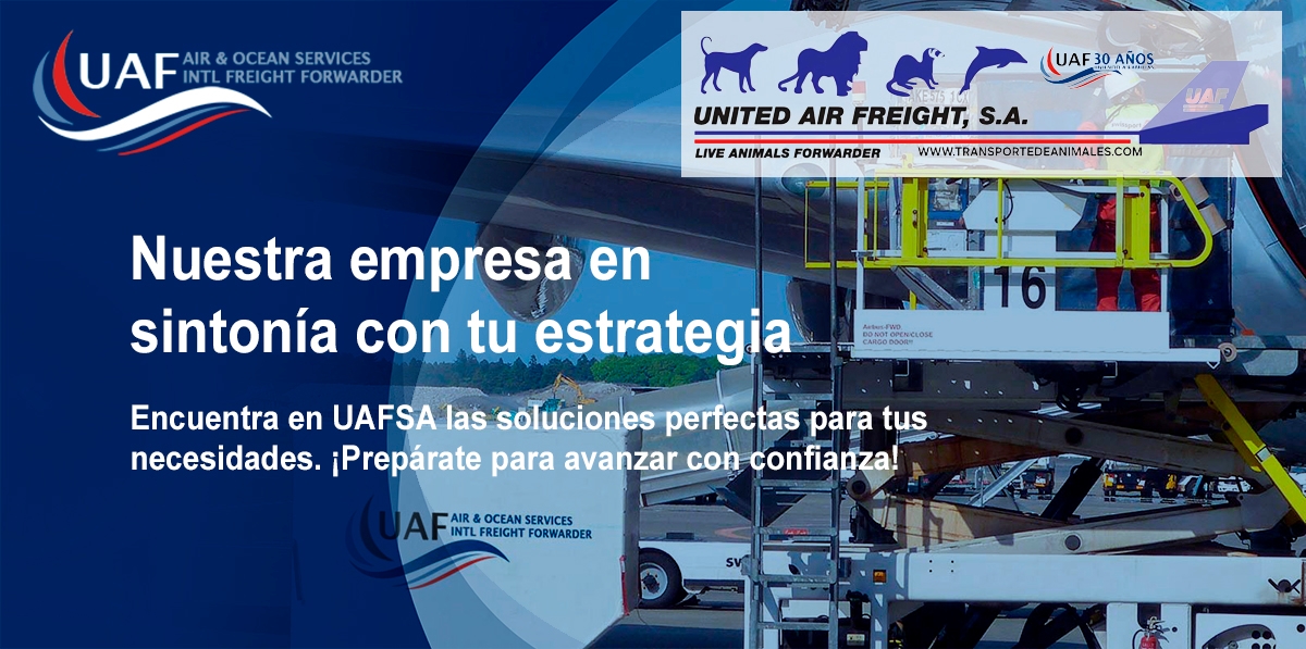 <a rel=nofollow noopener noreferrer href=https://uafsa.net/ target=_blank>www.united-air-freight.com</a>