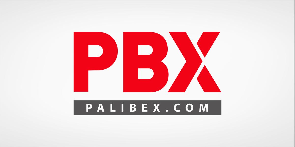 https://www.palibex.com/