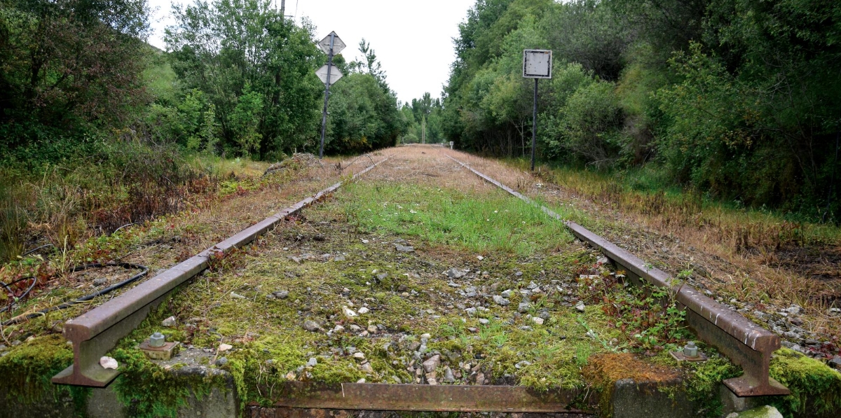 Vista frontal del corte de la vía a su llegada a la boca norte del túnel de Somosierra. Foto M.J.