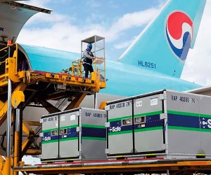 En el caso de viajes transoceánicos, el transporte aéreo es el más habitual para mover material genético.