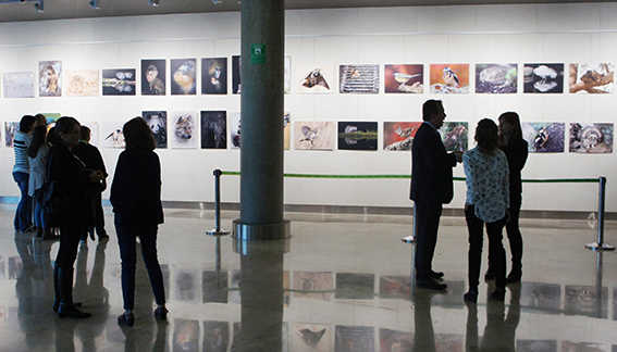 El Aeropuerto de Valencia acoge la exposici&oacute;n de fotograf&iacute;a &ldquo;Naturvisi&oacute;n&rdquo;