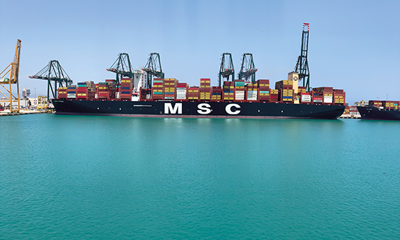 Hasta ocho gr&uacute;as hacen frente en Valencia simult&aacute;neamente a la escala del &ldquo;MSC Febe&rdquo;