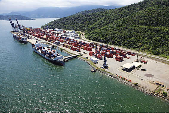 Pulmones log&iacute;sticos