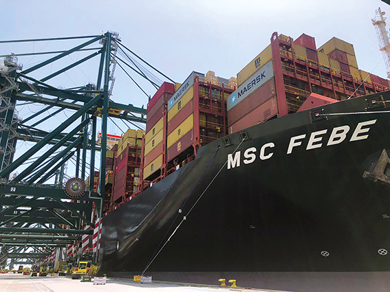 Hasta ocho gr&uacute;as hacen frente en Valencia simult&aacute;neamente a la escala del &ldquo;MSC Febe&rdquo;