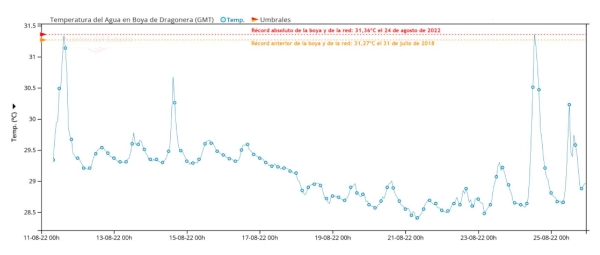 $!Gráfica de la serie temporal de la temperatura del agua medida en la Boya de Dragonera entre el 11 y el 25 de agosto de 2022. Fuente: Puertos del Estado.
