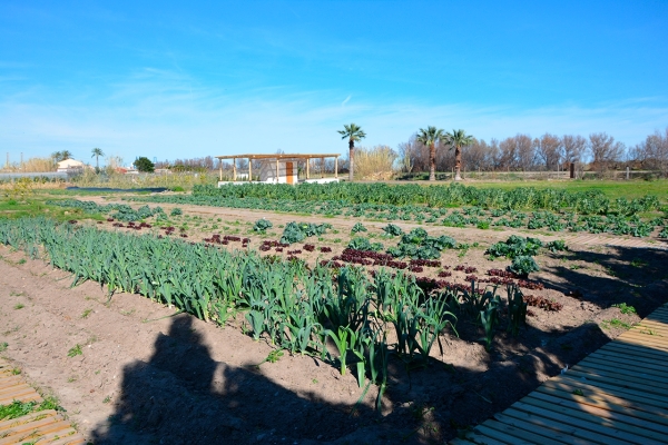 $!Maravella, la tradición valenciana con un enfoque próximo y actual