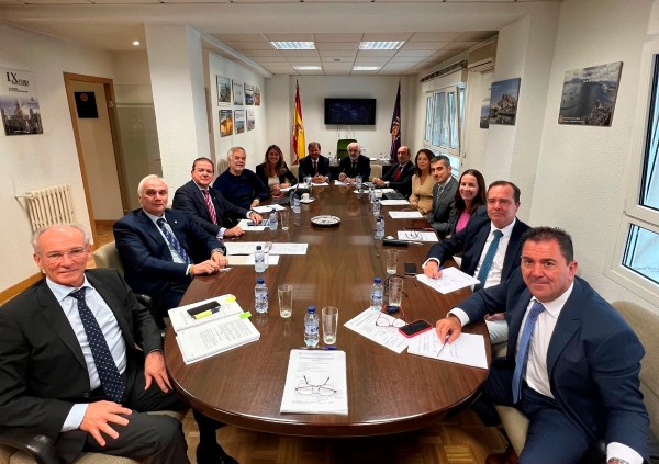 $!Sesión plenaria del Consejo General de Agentes de Aduanas, celebrada esta mañana en Madrid.