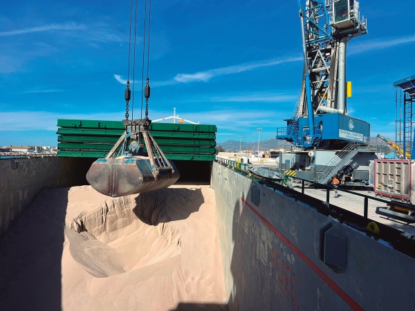 $!Terminal Marítima de Granada y Motril Shipping baten récord de mercancías en el Puerto de Motril