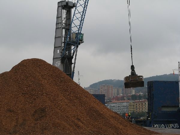 El Puerto de Pasaia comienza un nuevo tr&aacute;fico de astillas de madera