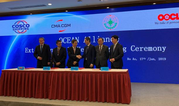Ocean Alliance extiende su acuerdo de cooperaci&oacute;n hasta el a&ntilde;o 2027