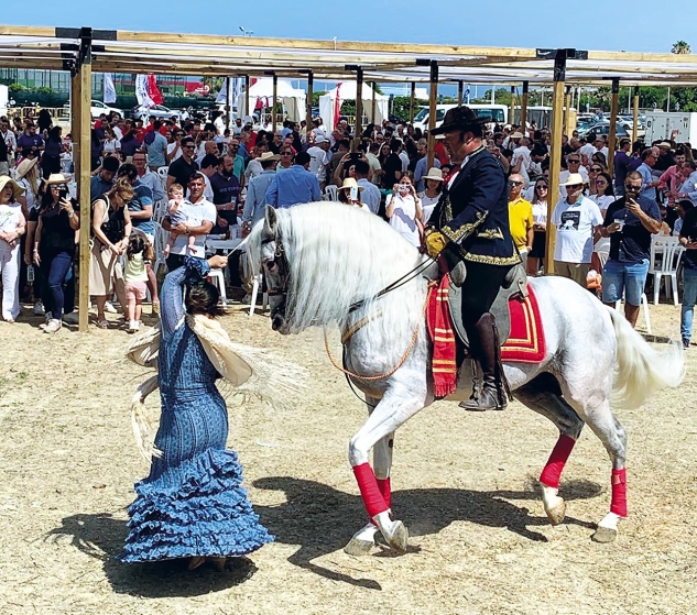 Consolidando la Fiesta