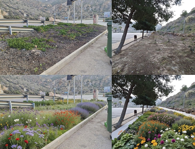 La Autoridad Portuaria de Cartagena activa el “Proyecto de Refuerzo de Jardinería y Reposición de Marras” para consolidar un puerto más integrado en la vida urbana, sostenible, amable y accesible para la ciudadanía.