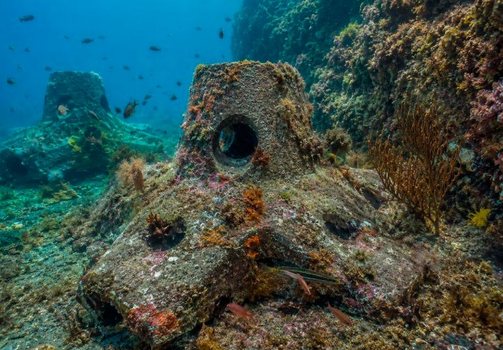 El Puerto de Gijón instalará seis arrecifes experimentales para impulsar la biodiversidad