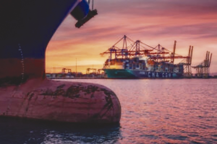 ”Bulbo”, de Francisco Herrero, es la fotografía ganadora.