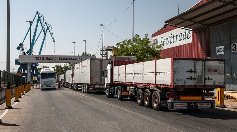 Sevitrade aumentar&aacute; en cerca de 12.000 m2 la superficie dedicada a la log&iacute;stica del cereal y el fertilizante.