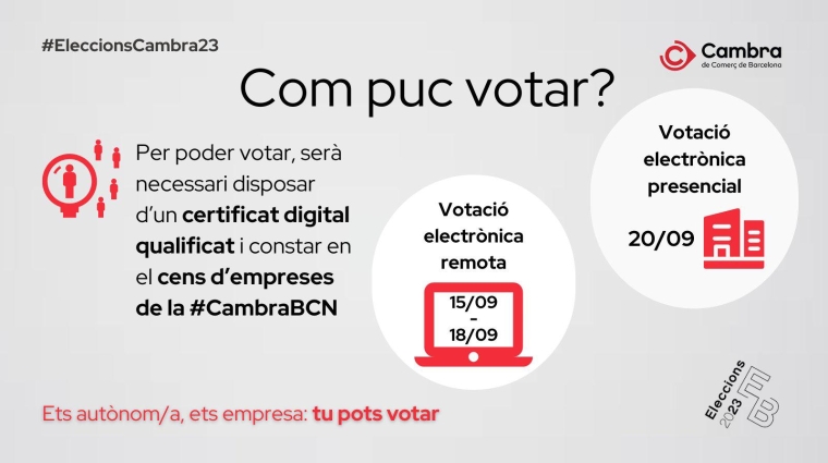 Desde hoy a las 9 horas hasta el día 19 de septiembre a la misma hora, de podrá votar de forma remota.