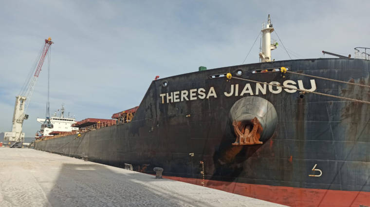 El cargamento lleg&oacute; a bordo del buque &quot;Theresa Jiangsu&quot;.