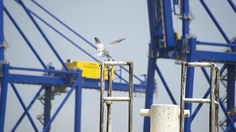 La Fundación Valenciaport participa en el proyecto, que pretende acelerar la transformación energética de los puertos europeos.
