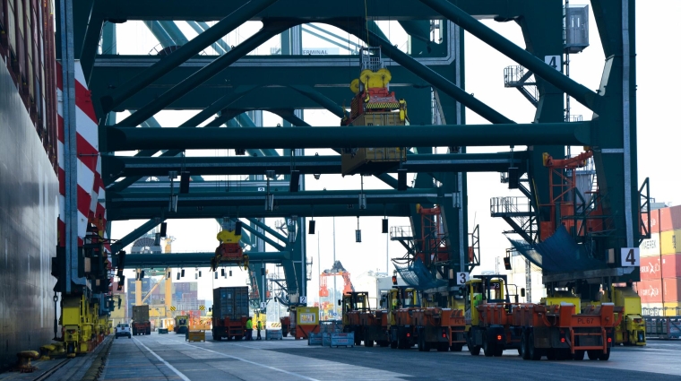 La APV asegura que el Puerto de Valencia está a un 80% de su capacidad total. Foto: Raúl Tárrega.