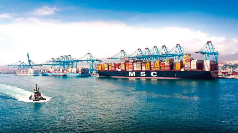 MSC y Maersk suman algo más de un tercio de la capacidad mundial en TEUs