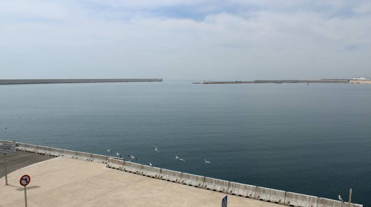 Los técnicos de la Autoridad Portuaria de Valencia ya están analizando el informe remitido por el Ministerio de Transición Ecológica sobre el proyecto de la nueva terminal. Foto: Raúl Tárrega.