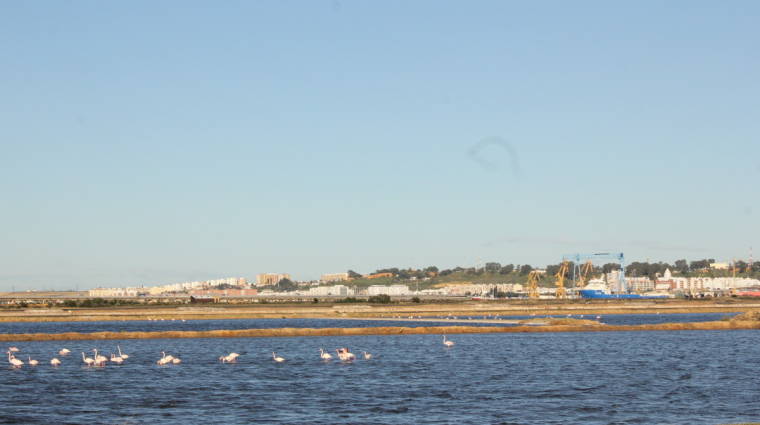 El Puerto de Huelva celebrar&aacute; las I Jornadas de Sostenibilidad Ambiental y Gesti&oacute;n Portuaria en octubre.