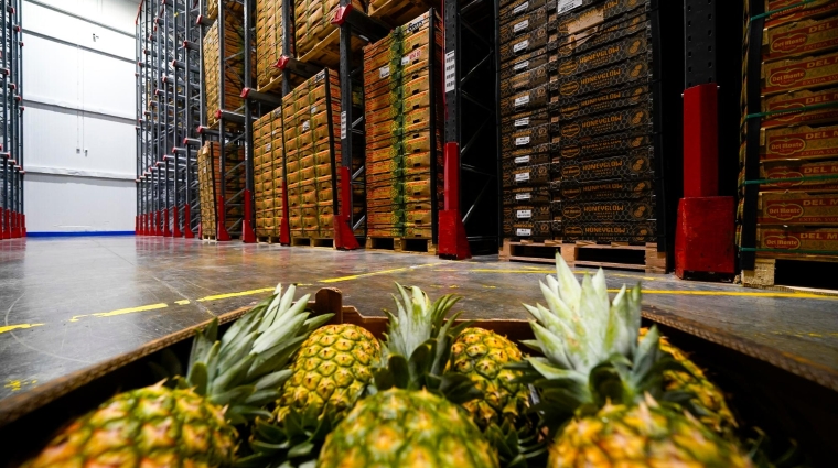 Los puertos españoles recuperaron en 2021 los tráficos prepandemia de frutas, hortalizas y legumbres