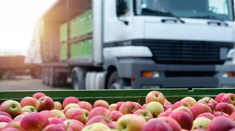 El 94,1% de las frutas y hortalizas exportadas por España se hace por carretera, con el camión como principal medio de transporte.