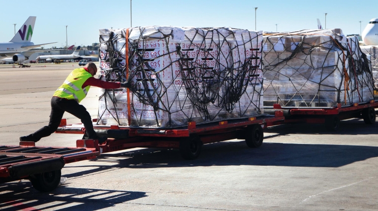 “Seguimos trabajando para incorporar al resto de operadores de handling a la mayor brevedad”, han asegurado a Diario del Puerto fuentes de Portel. Foto M.J.