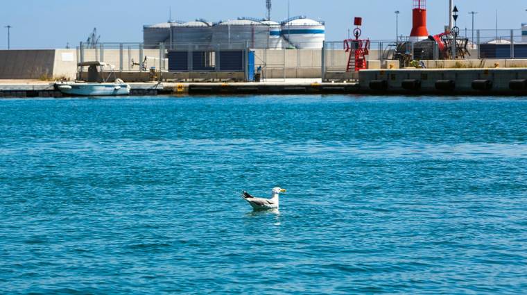 El Puerto de Valencia presentará su estrategia en materia de descarbonización.