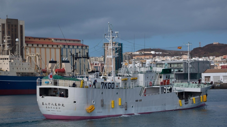 La manipulación de túnidos grado sashimi en el Puerto de Las Palmas supera el trámite de competencia de proyectos