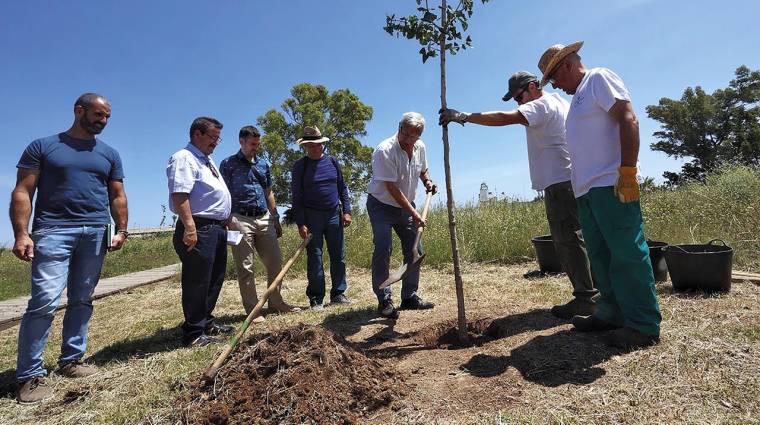 Durante la visita, el alcalde, Joan Ribó, ha participado, junto al vecindario, en la plantación de un ejemplar de ginkgo.
