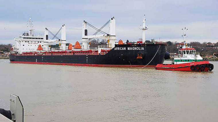El &ldquo;African Magnolia&rdquo; es uno de los mayores buques en atracar jam&aacute;s en el puerto vascofranc&eacute;s de Baiona.