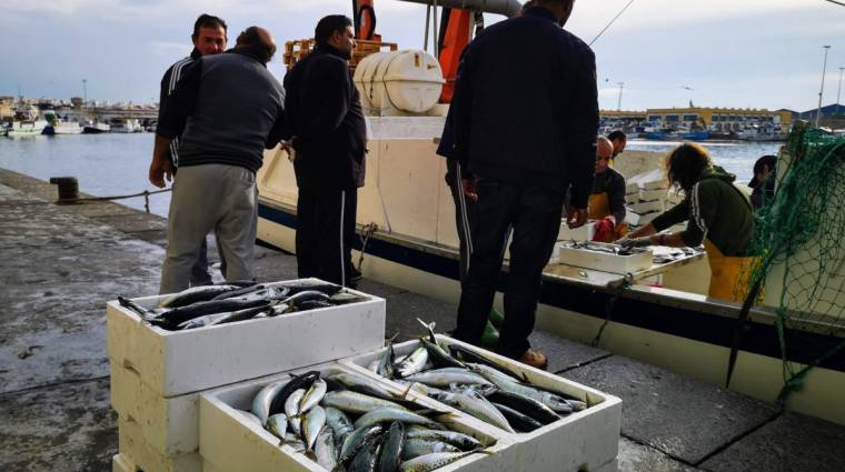 Los principales destinos del pescado exportado desde Almer&iacute;a son Portugal e Italia.