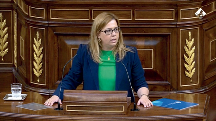 Elena Castillo, diputada del PP, ayer durante su intervenci&oacute;n en el Pleno del Congreso.