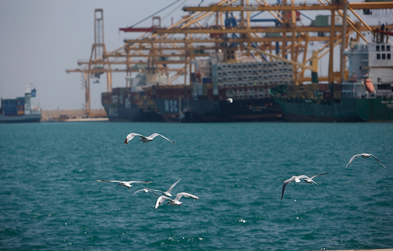 Los puertos espa&ntilde;oles mantienen su compromiso por compatibilizar crecimiento econ&oacute;mico y respeto ambiental. Foto: DP.