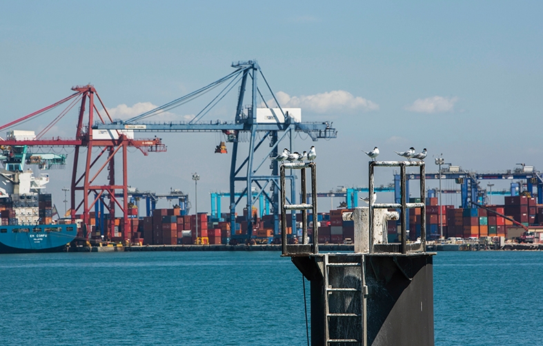 APV y comunidad portuaria reafirman su alianza a favor del desarrollo sostenible