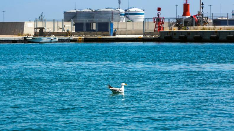Valenciaport aglutinará los últimos avances en materia de descarbonización del shipping