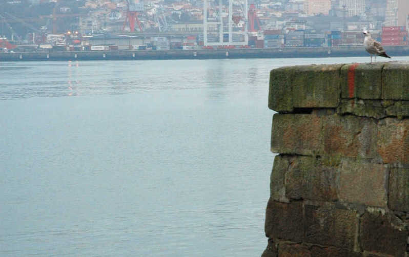 El debate sobre la transparencia preside el rechazo de los puertos al nuevo reglamento europeo