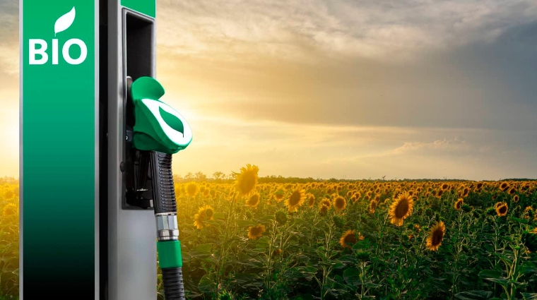 España tiene la posibilidad de convertirse en una referencia mundial en los ecocombustibles.