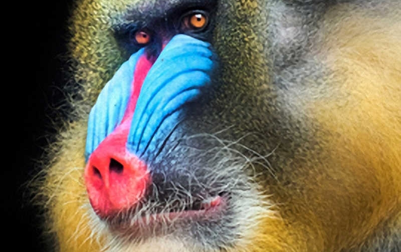 Teresa Colomer expone su obra fotogr&aacute;fica en el Aeropuerto Adolfo Su&aacute;rez Madrid-Barajas