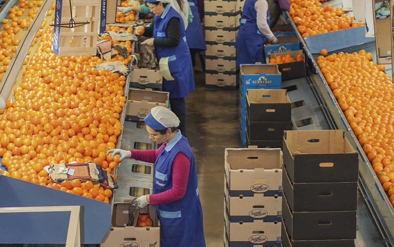 Coordinadora Solidaria colabora en la formaci&oacute;n de mujeres en riesgo de exclusi&oacute;n social